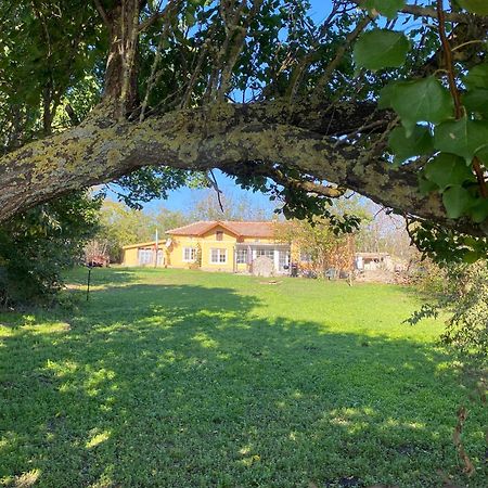 Ferienhaus Primorska Sunshine In Strandnaehe Shabla ภายนอก รูปภาพ