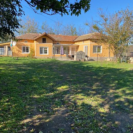 Ferienhaus Primorska Sunshine In Strandnaehe Shabla ภายนอก รูปภาพ