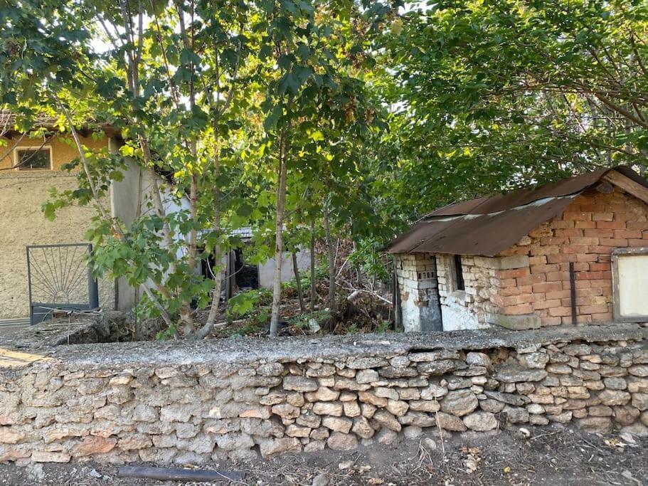 Ferienhaus Primorska Sunshine In Strandnaehe Shabla ภายนอก รูปภาพ