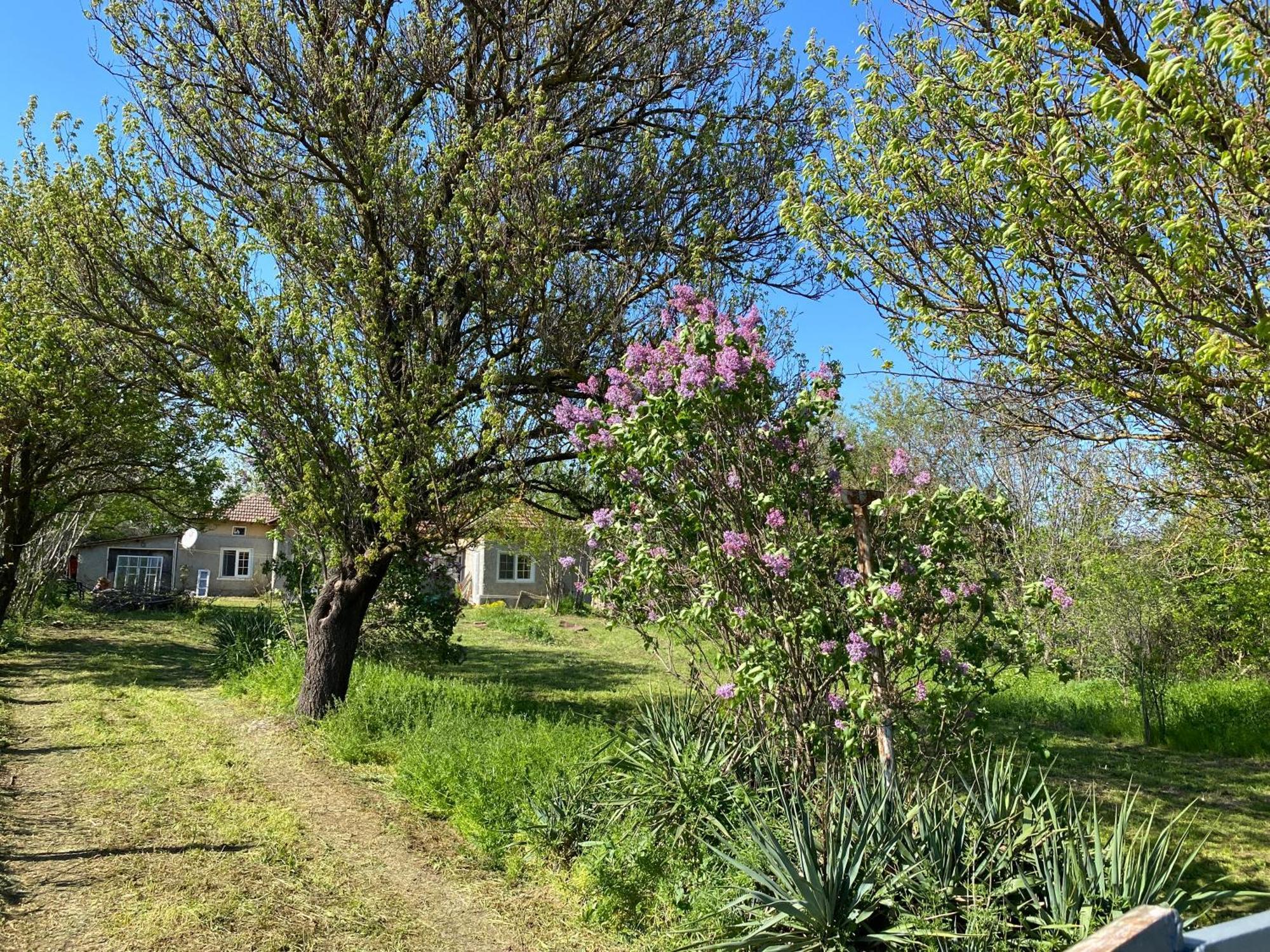Ferienhaus Primorska Sunshine In Strandnaehe Shabla ภายนอก รูปภาพ
