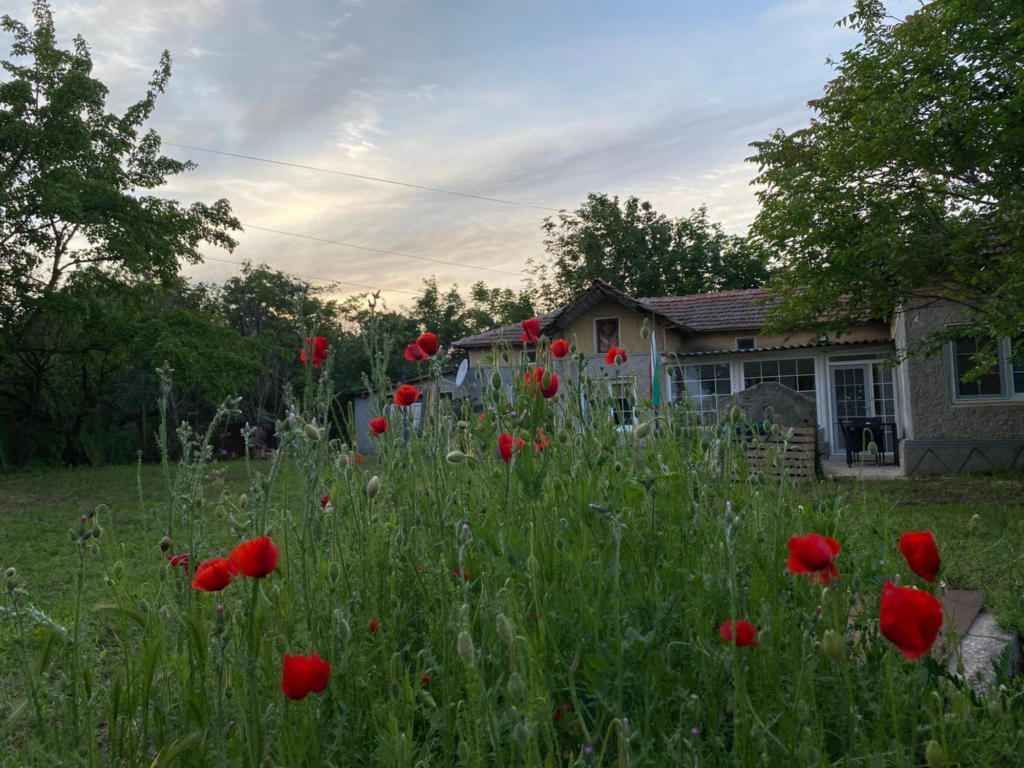 Ferienhaus Primorska Sunshine In Strandnaehe Shabla ภายนอก รูปภาพ